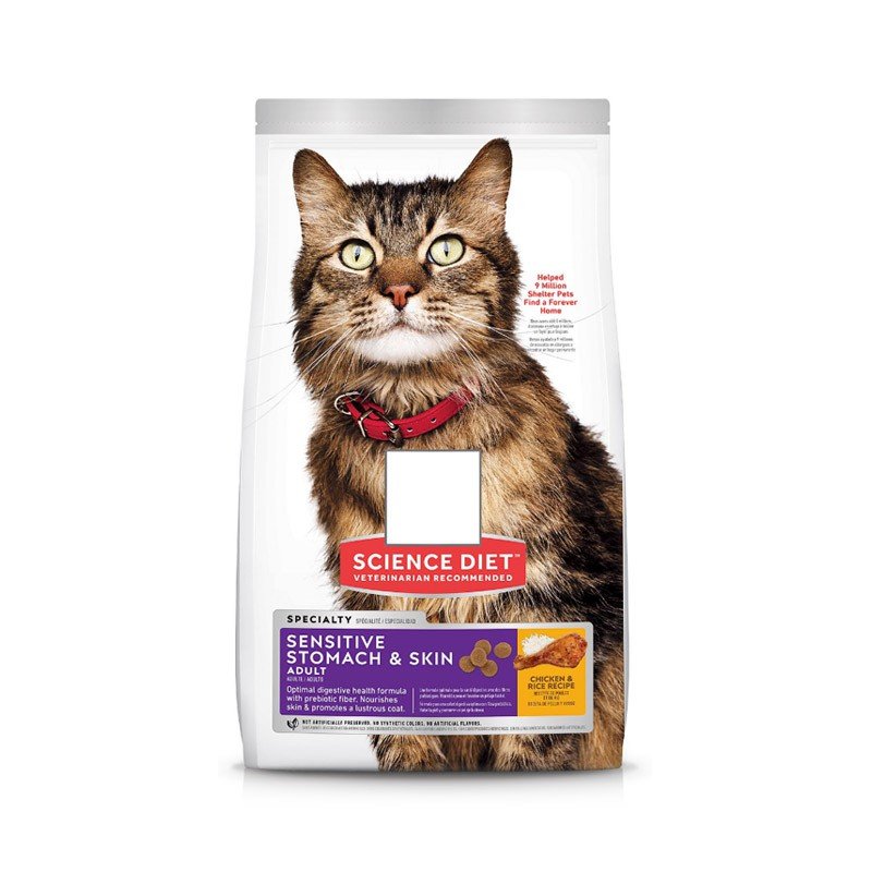 Cat Food Beef Taste