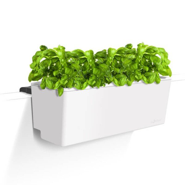 Self Watering Mini Rail...